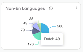 Non-English Languages